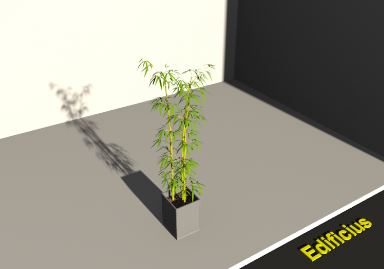 bamboo - ACCA software