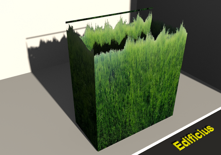 cypressus_hedge - ACCA software