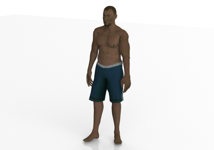 Gens 3D - Nick - ACCA software