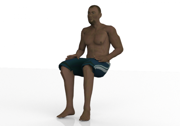 Gens 3D - Nick - ACCA software