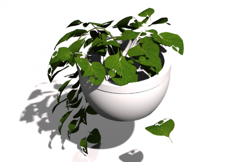 Vaso pianta simo-3d - ACCA software