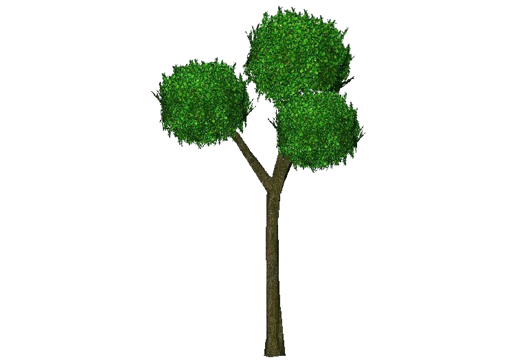 Piante 3D - Buxus Ball - ACCA software