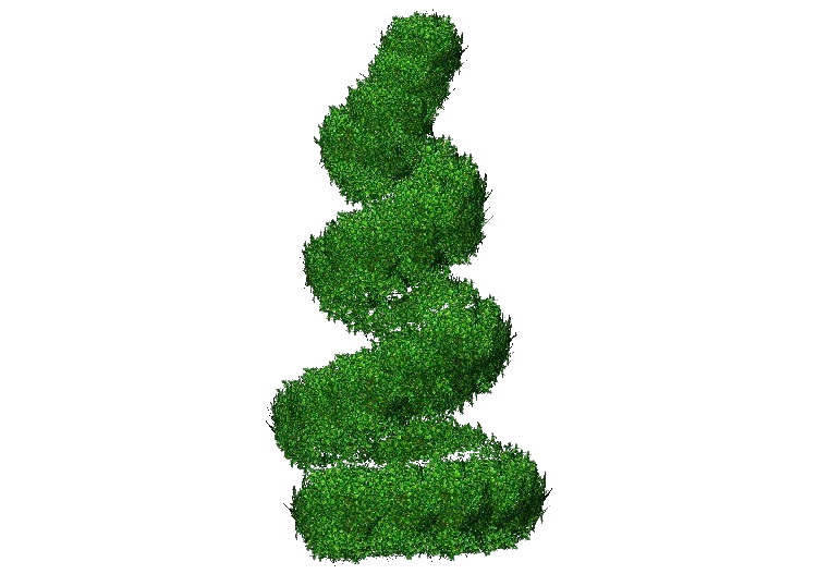 Piante 3D - Buxus Spiral - ACCA software