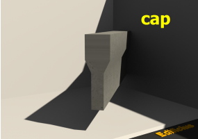 c.a.p.