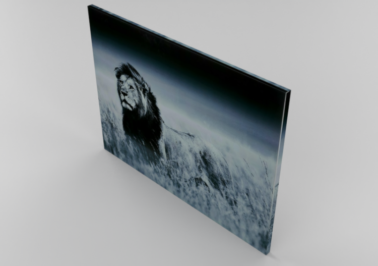 Tableaux 3D - Tableau moderne pour salon - ACCA software