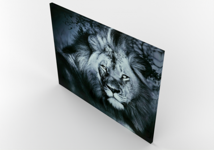 Quadri 3D - Quadro da salotto - ACCA software