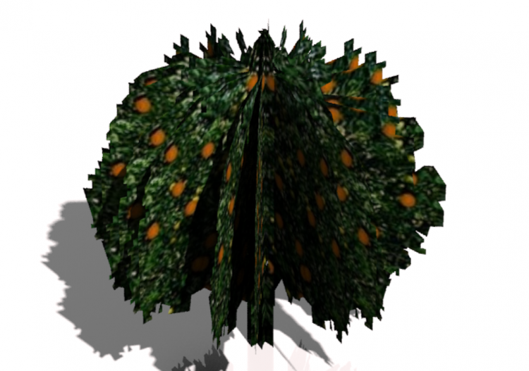 Naranjo v2.1 - ACCA software