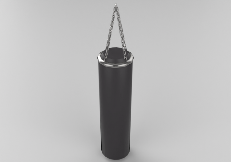 Fitness 3D - Sac de boxe - ACCA software