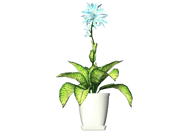 Plantes 3D - Lys - ACCA software