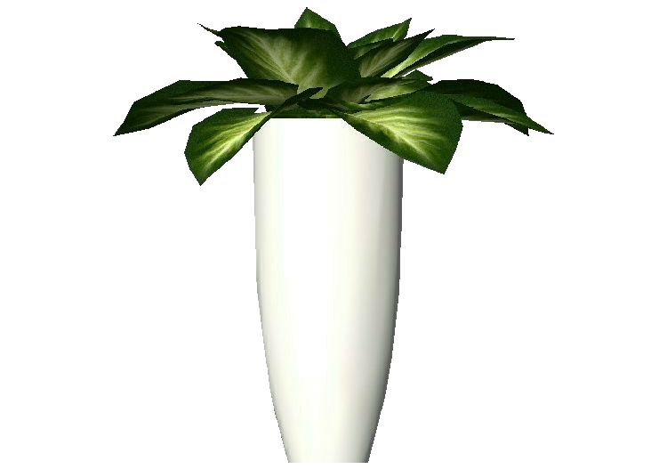 Plantes 3D - Dieffenbachia Camilla - ACCA software