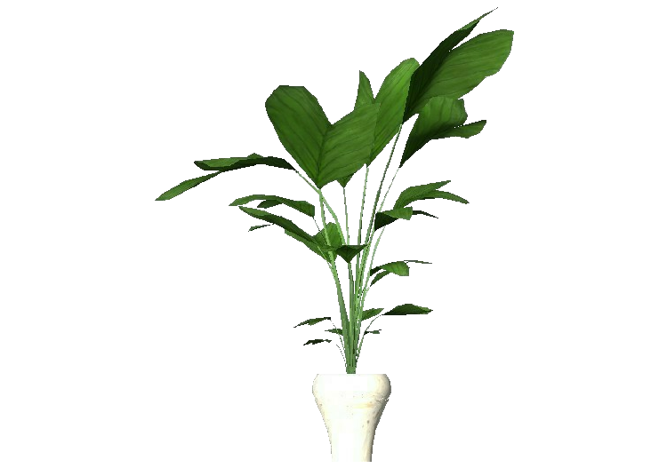 3D Flowers - Potted plant for apartments - ACCA software