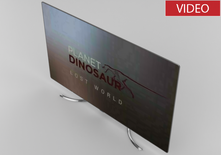 3D TV und Monitor - TV Samsung 65” - ACCA software