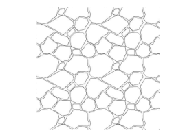 Stone wall (08)