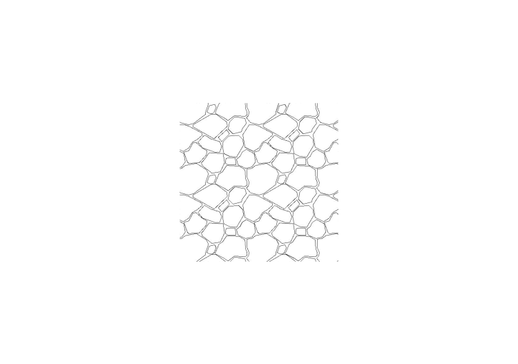 Stone wall (08) - ACCA software Stone wall (08) - ACCA software