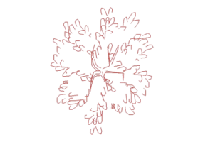 Alberi DWG - Albero (16)