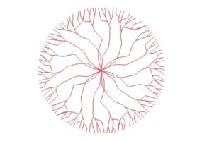 DWG B&auml;ume - Baum (17)