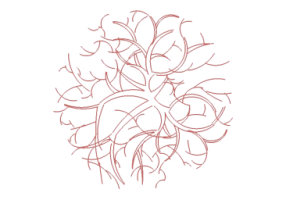 Arbres DWG - Arbre (19)