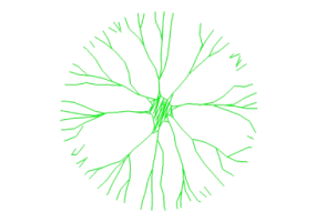 DWG Trees - Tree (23)