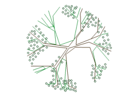 &Aacute;rboles DWG - &Aacute;rbol (27)