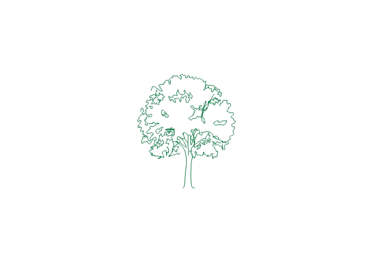 Alberi DWG - Albero (06) - ACCA software Alberi DWG - Albero (06) - ACCA software