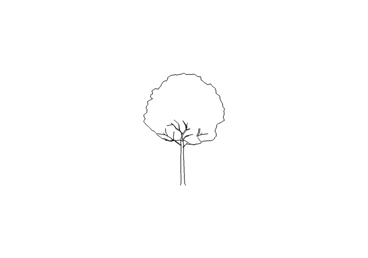 Arbres DWG - Arbre (07) - ACCA software Arbres DWG - Arbre (07) - ACCA software