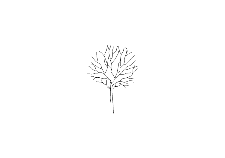 DWG Trees - Tree (10) - ACCA software DWG Trees - Tree (10) - ACCA software