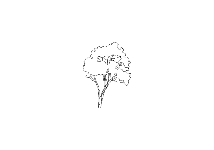 DWG Bäume - Baum (11) - ACCA software DWG Bäume - Baum (11) - ACCA software
