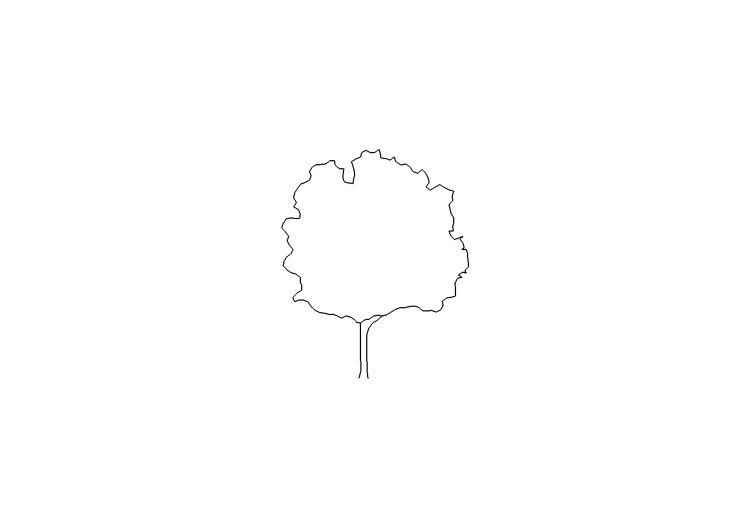 Arbres DWG - Arbre (12) - ACCA software Arbres DWG - Arbre (12) - ACCA software