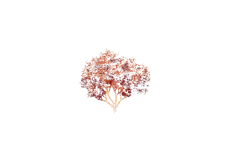 Árboles DWG - Árbol (15) - ACCA software Árboles DWG - Árbol (15) - ACCA software