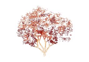 &Aacute;rvores DWG - &Aacute;rvore (15)