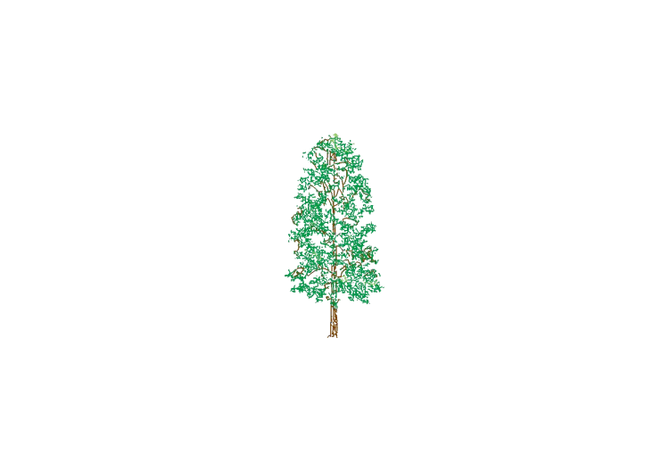 Árboles DWG - Árbol (16) - ACCA software Árboles DWG - Árbol (16) - ACCA software