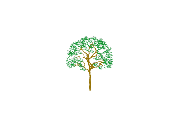 DWG Bäume - Baum (17) - ACCA software DWG Bäume - Baum (17) - ACCA software
