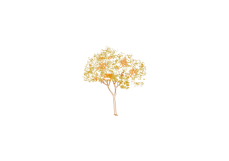 DWG Bäume - Baum (18) - ACCA software DWG Bäume - Baum (18) - ACCA software