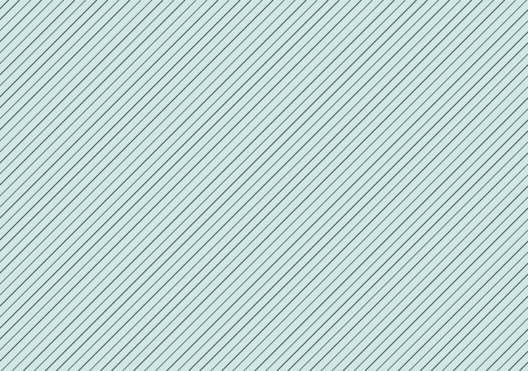 Leichtbeton - ACCA software