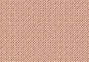 Panneau de fibres de bois - densité 800