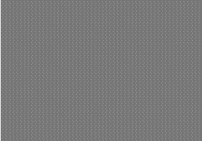 Silicones - densidade 1000