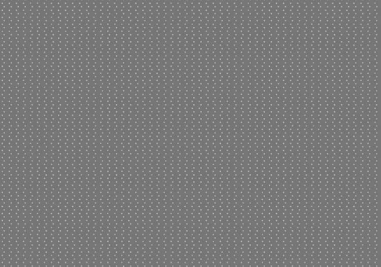 Silikone - Dichte 1000 - ACCA software