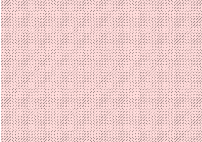 Esquisto paralelo al plano de exfoliación