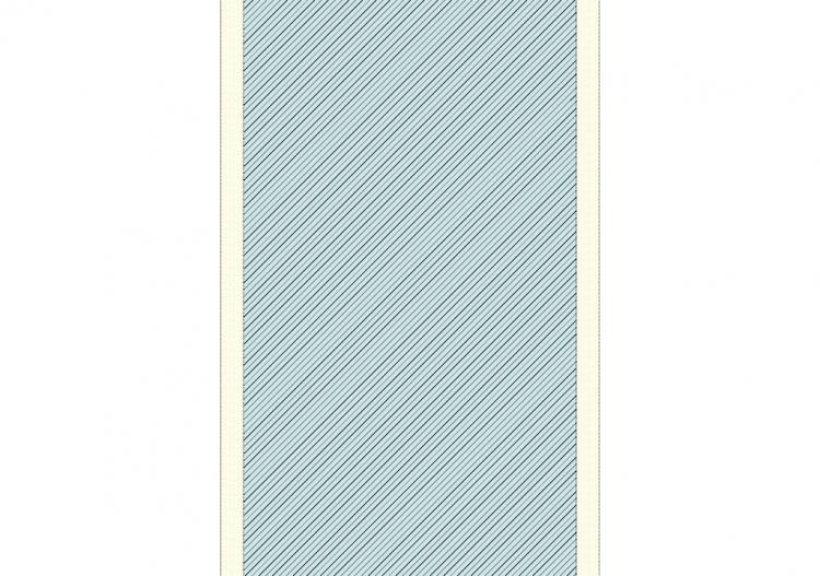 Pared de hormigón armado [250.0] - ACCA software