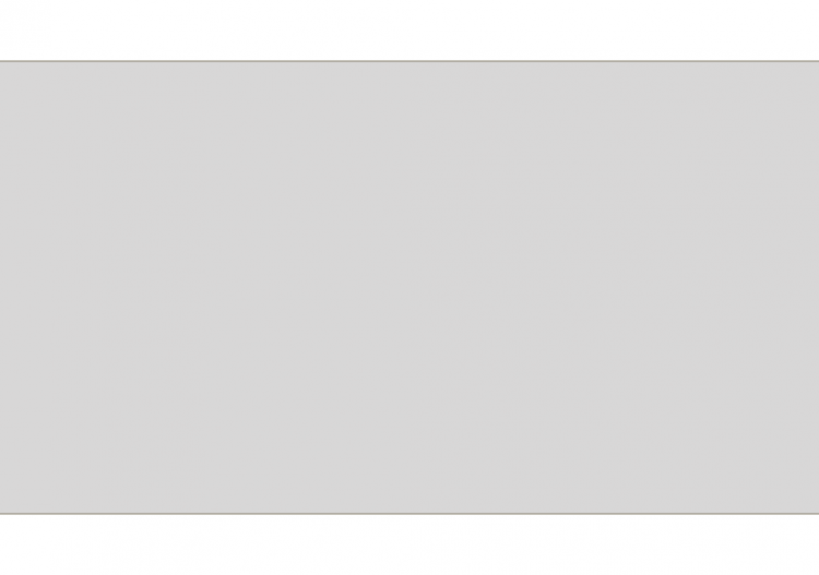 Loose Stone [300.0] - ACCA software