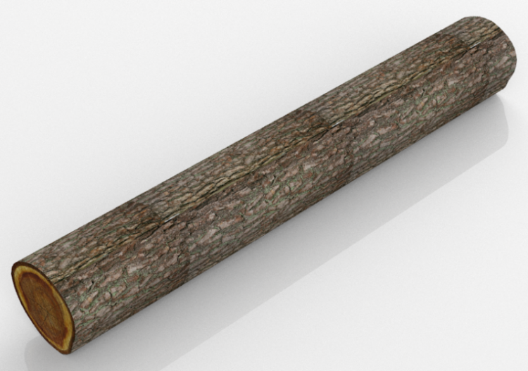 Tronco Albero - ACCA software
