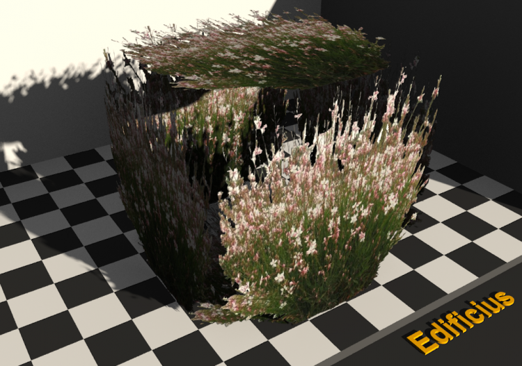 gaura - ACCA software