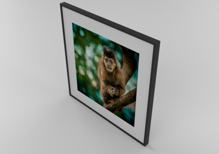 Cuadros 3D - Cuadro - Luazzu - 13702227b - ACCA software