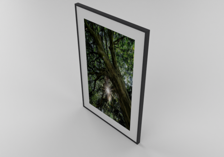 3D Paintings - Oil Painting - Luazzu - 13800009c - ACCA...