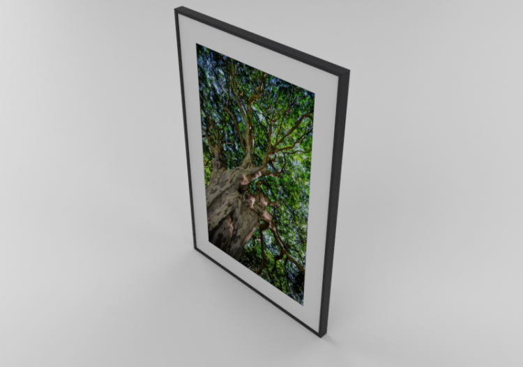 3D Paintings - Oil Painting - Luazzu - Baobah - ACCA...
