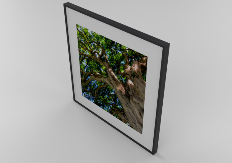 3D Paintings - Oil Painting - Luazzu - Baobah - ACCA...