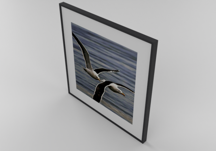 3D Paintings - Oil Painting - Luazzu - 13702067b - ACCA...