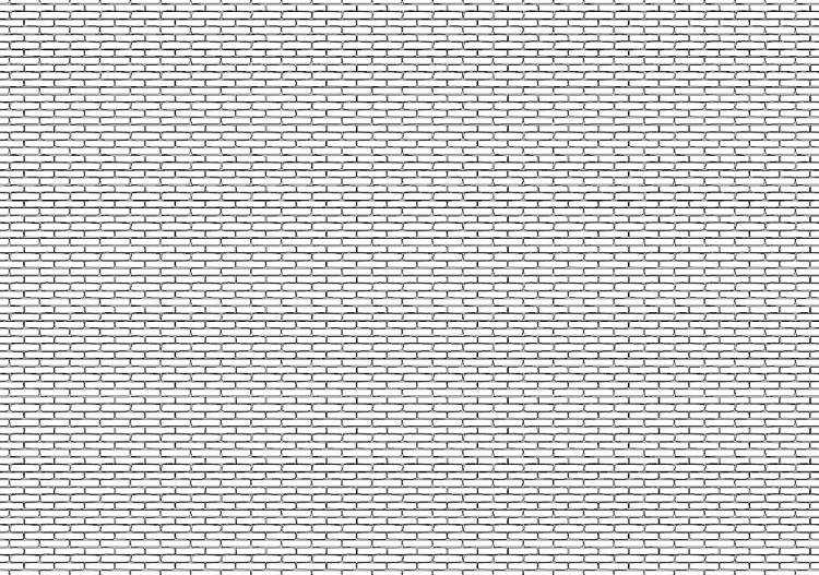 Muro de ladrillos (08) - ACCA software