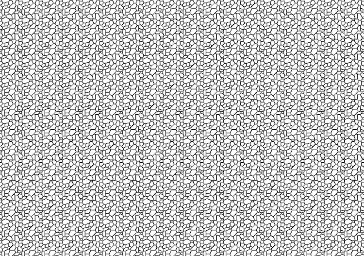 Muro de piedras (02) - ACCA software