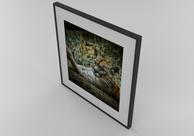 Cuadros 3D - Cuadro - Luazzu - 13702319b - ACCA software